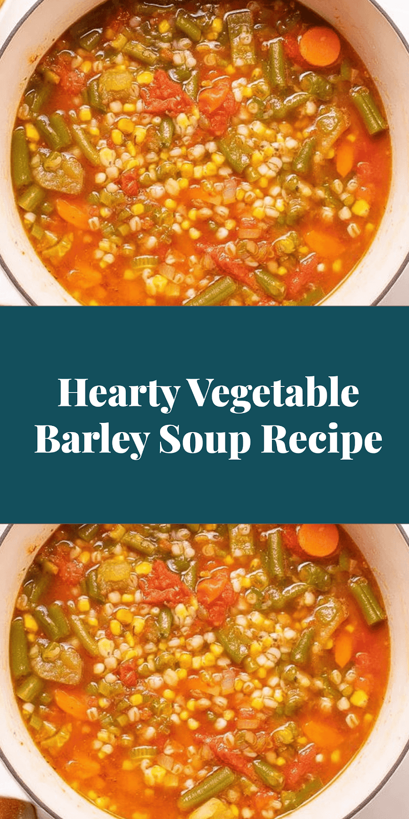 Hearty Vegetable Barley Soup Recipe