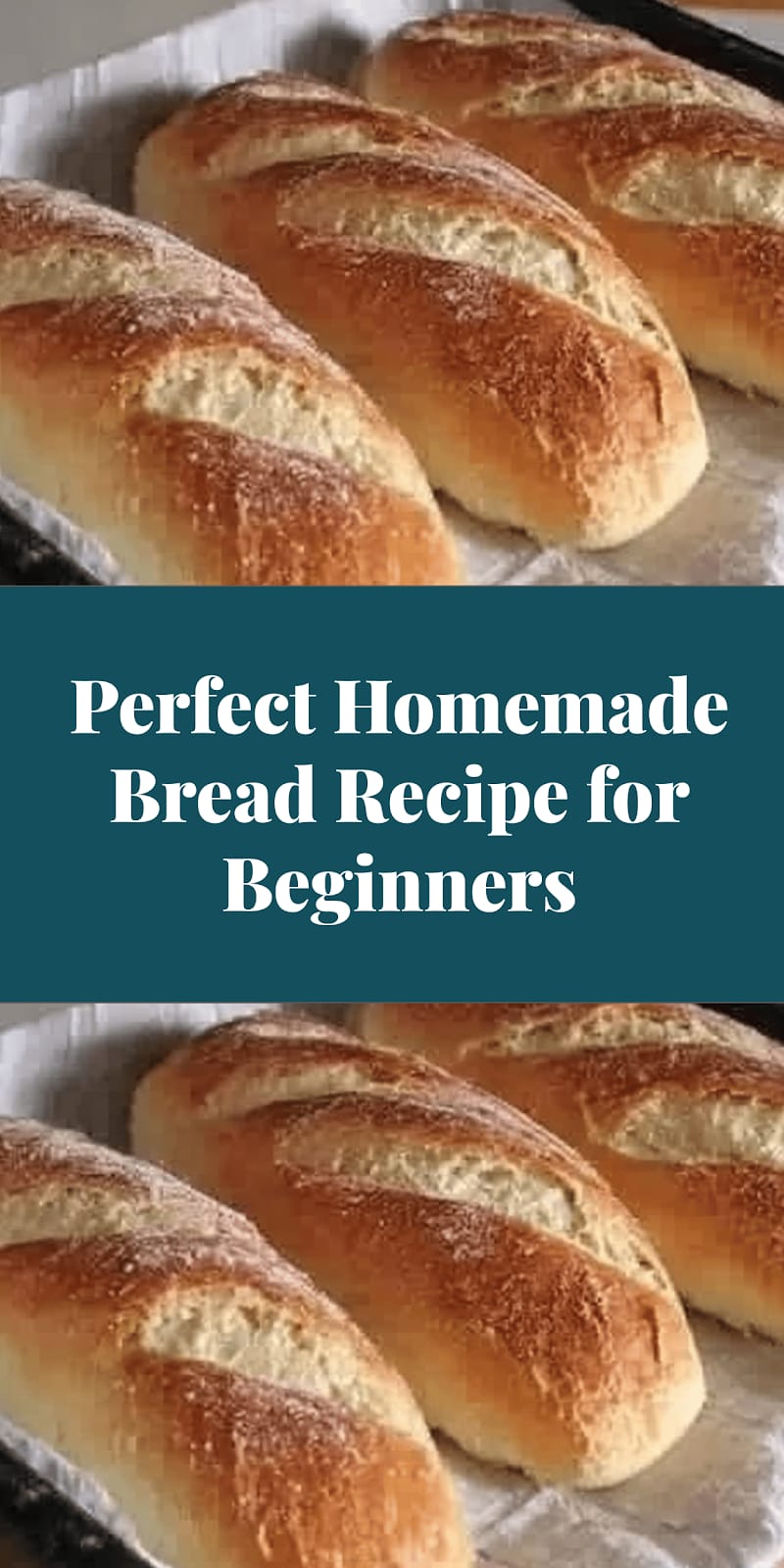 Perfect Homemade Bread Recipe for Beginners