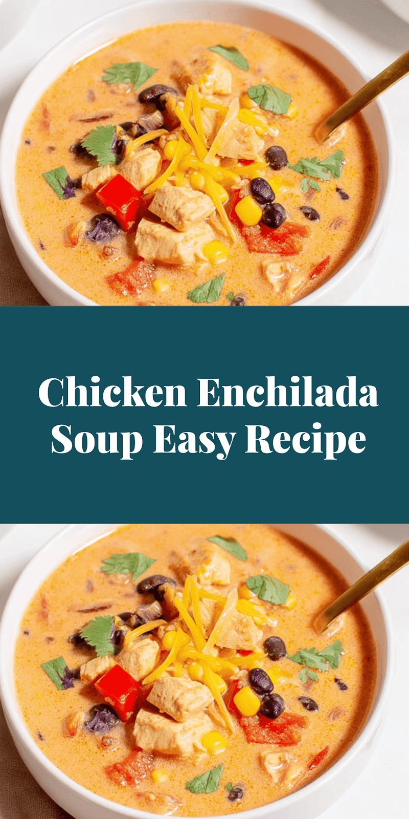 Chicken Enchilada Soup Easy Recipe