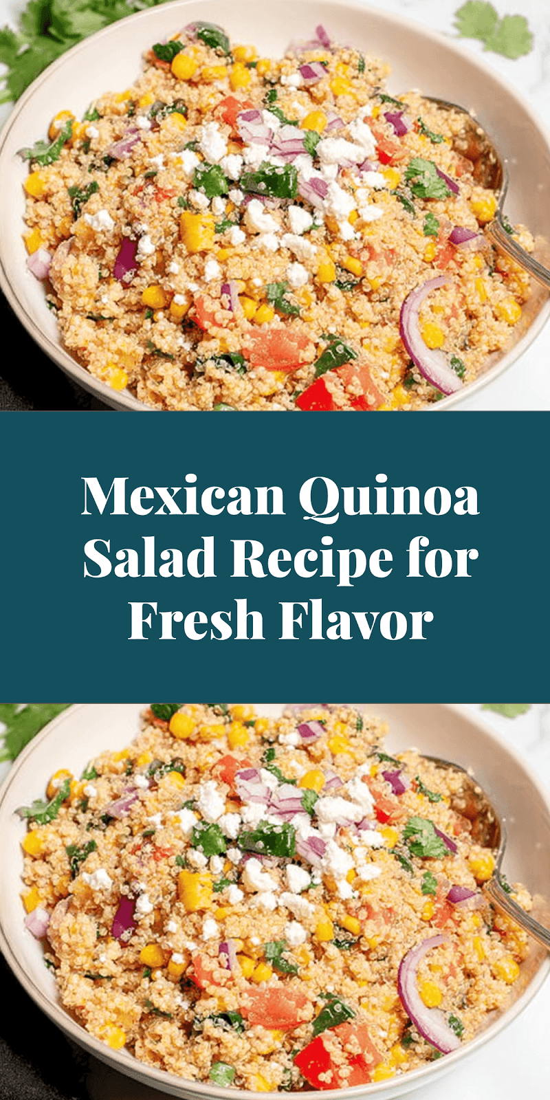 Mexican Quinoa Salad Recipe for Fresh Flavor