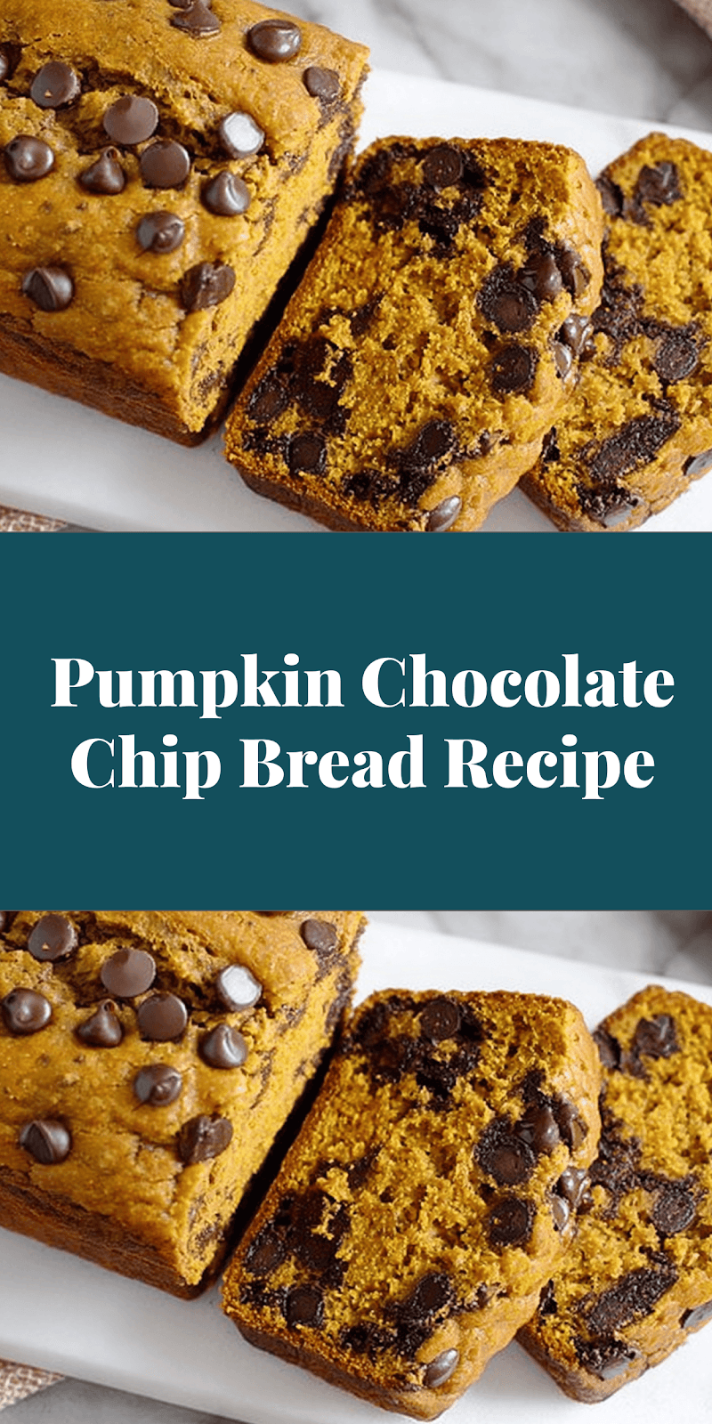Pumpkin Chocolate Chip Bread Recipe