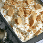 No-Churn Banana Pudding Ice Cream Recipe
