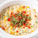 Slow Cooker Queso Jalapeno Popper Dip Recipe