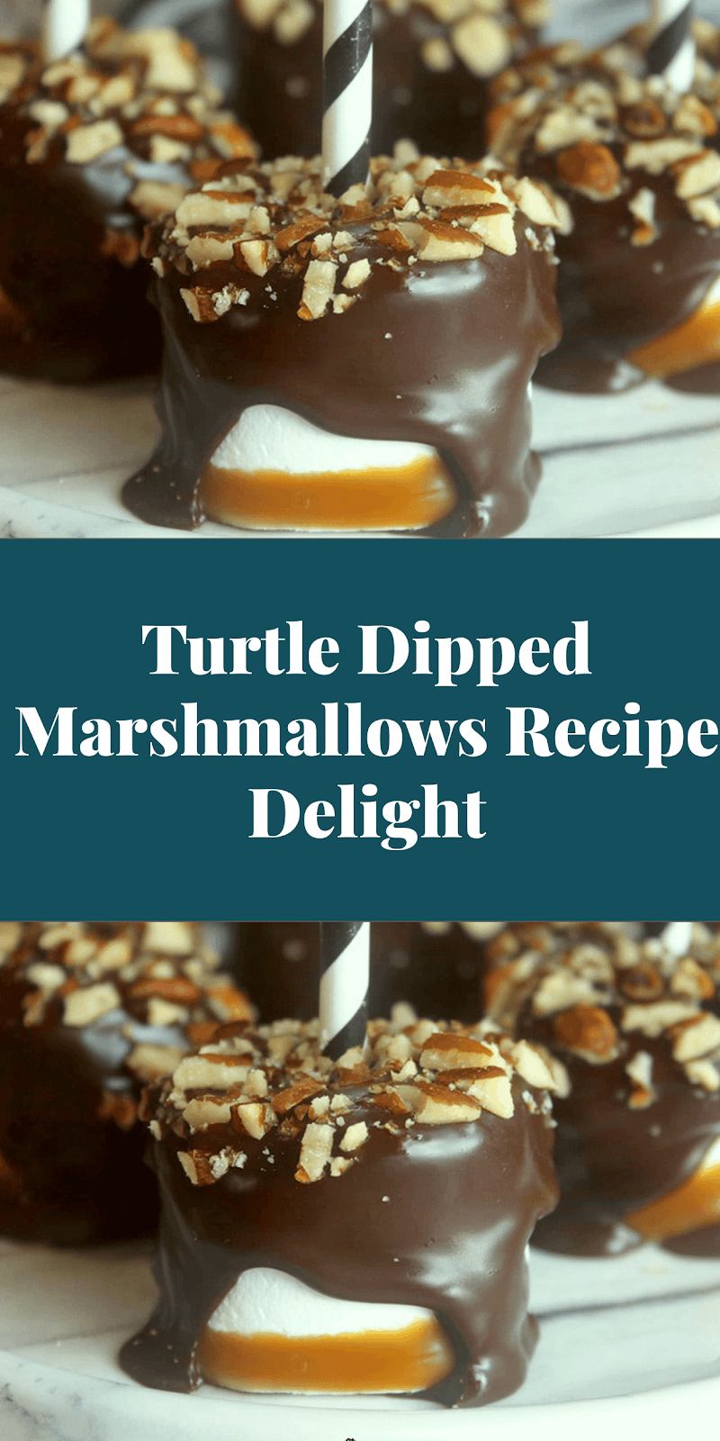 Turtle Dipped Marshmallows Recipe Delight