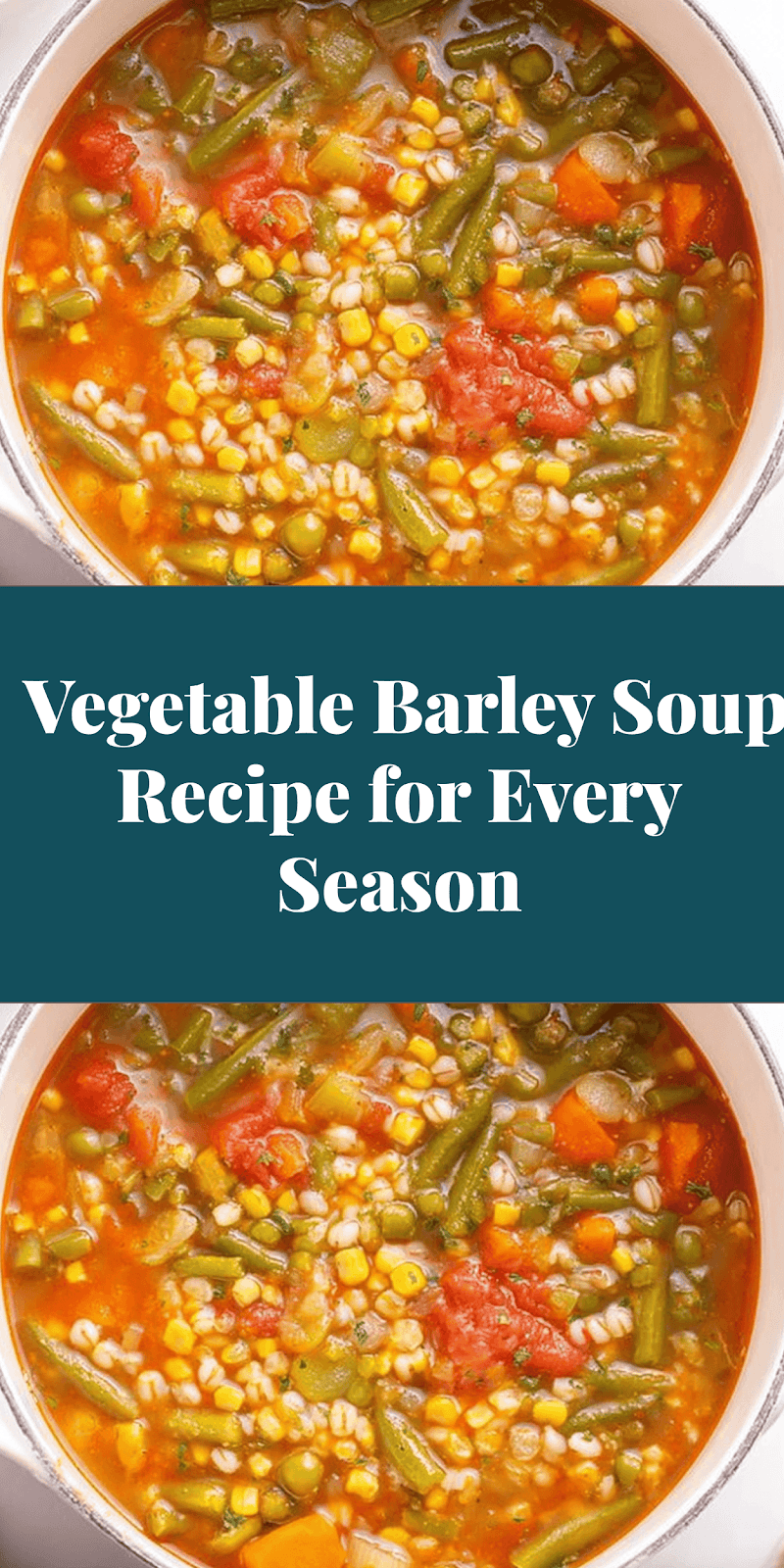 Vegetable Barley Soup Recipe for Every Season