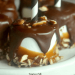 Turtle Dipped Marshmallows Recipe