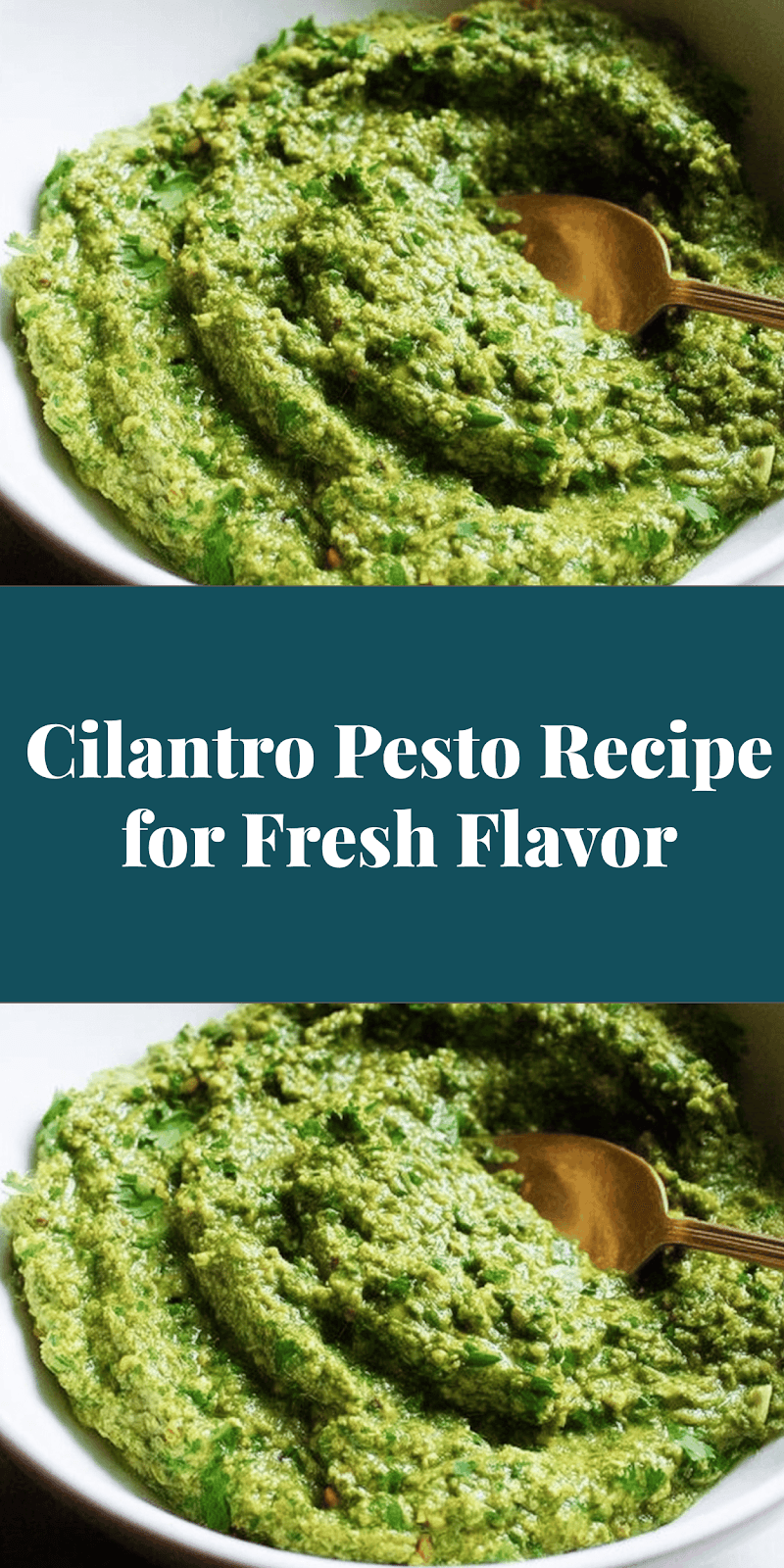 Cilantro Pesto Recipe for Fresh Flavor