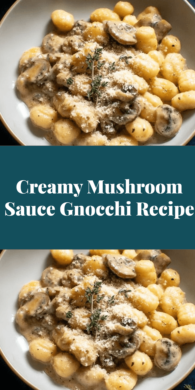 Creamy Mushroom Sauce Gnocchi Recipe