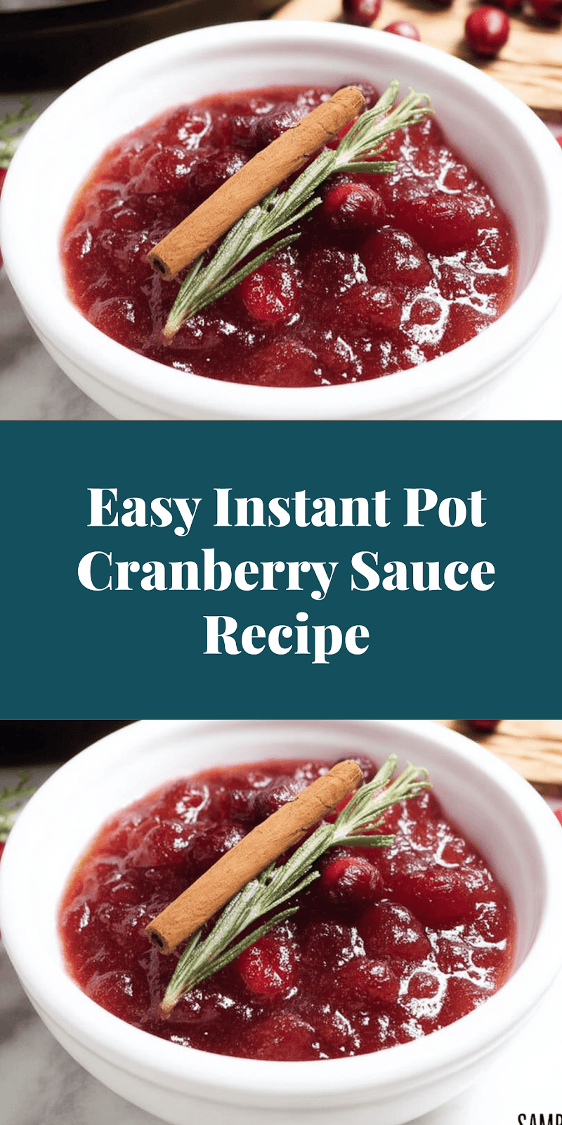 Easy Instant Pot Cranberry Sauce Recipe