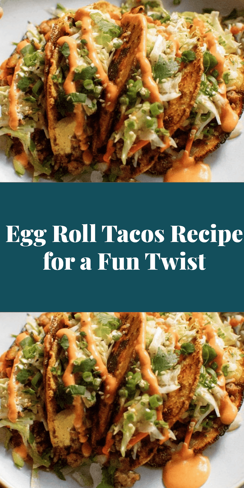 Egg Roll Tacos Recipe for a Fun Twist