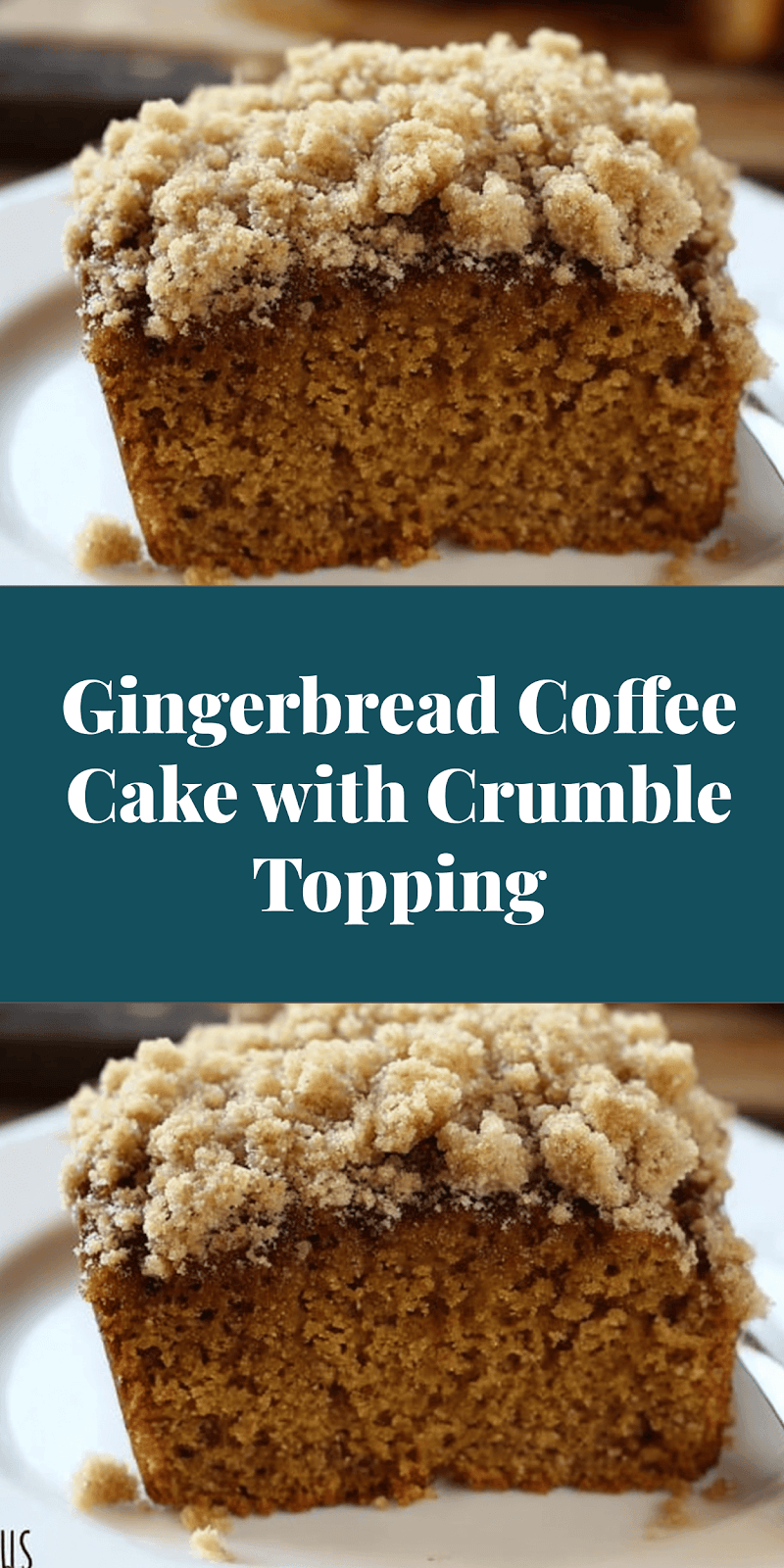 Gingerbread Coffee Cake with Crumble Topping