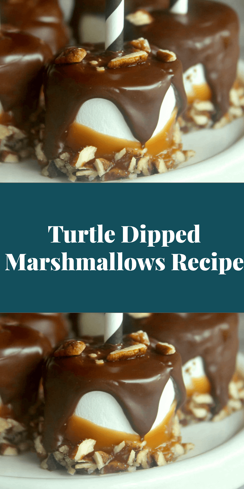 Turtle Dipped Marshmallows Recipe
