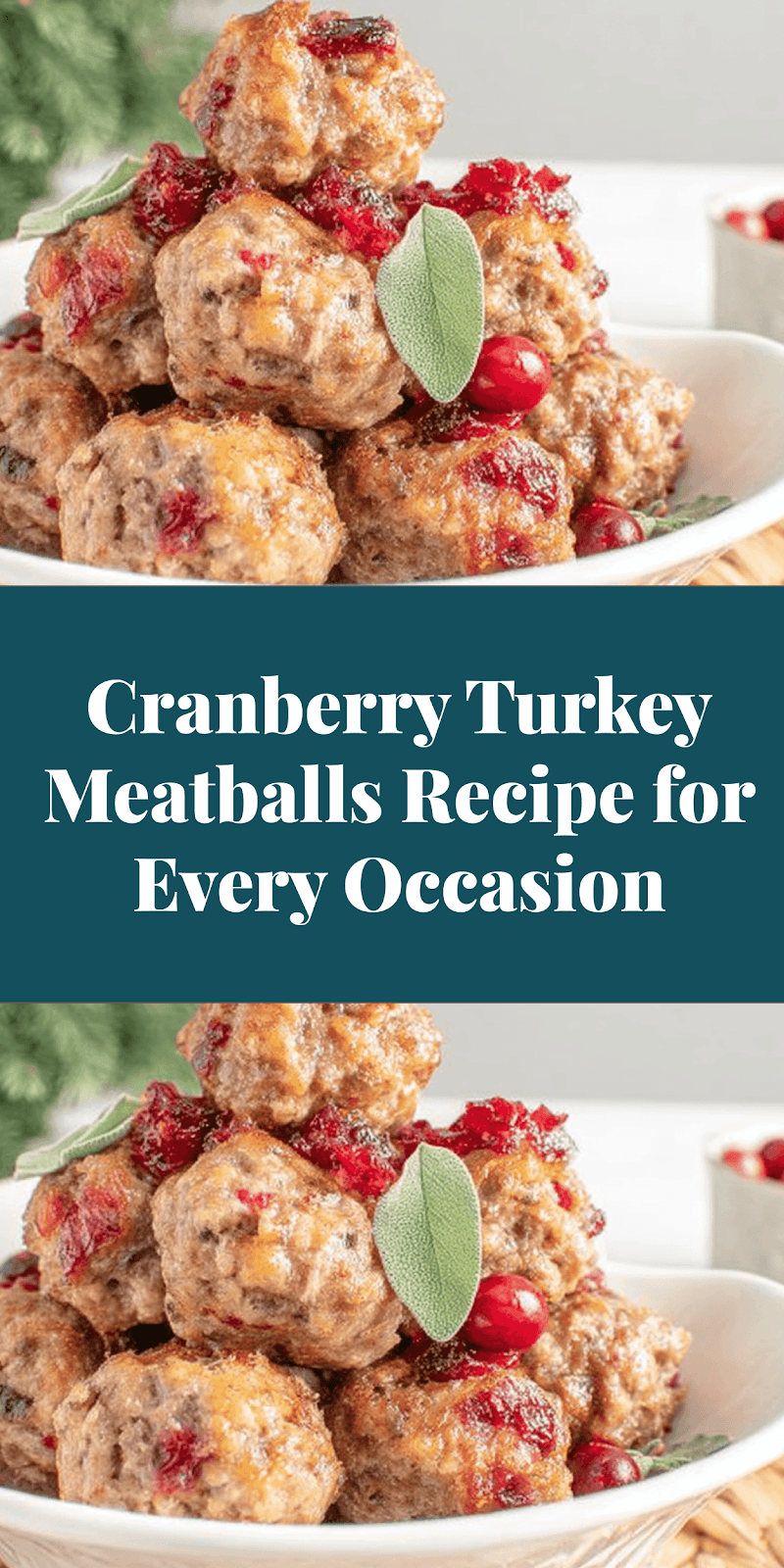 Cranberry Turkey Meatballs Recipe for Every Occasion