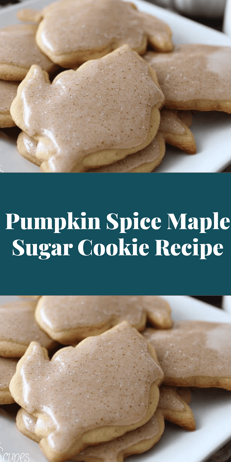 Pumpkin Spice Maple Sugar Cookie Recipe
