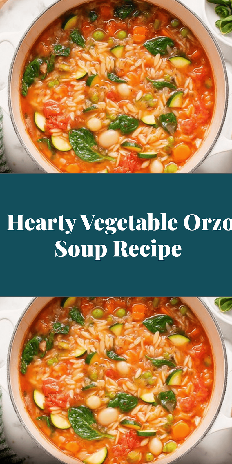 Hearty Vegetable Orzo Soup Recipe
